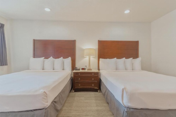 The Yosemite Inn image 75